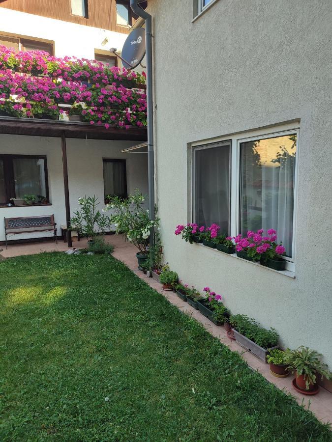 Apartman Mitic Požarevac Eksteriør bilde
